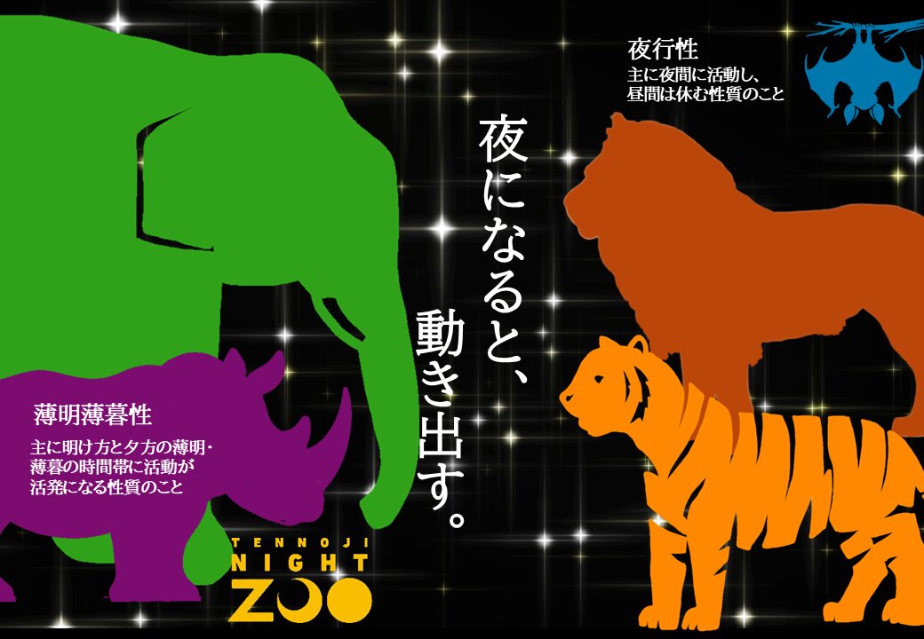 天王寺動物園ナイトZOO2026,天王寺動物園ナイトズー2026,天王寺動物園ナイトZOO,天王寺動物園夜間営業,天王寺動物園チケット,天王寺動物園料金2026,天王寺動物園混雑,天王寺動物園駐車場,大阪ナイトZOO2026,大阪イベント2026